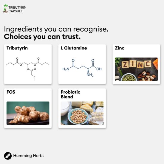 Picture of Humming Herbs Tributyrin Capsules 120 | 5-in-1 Formula