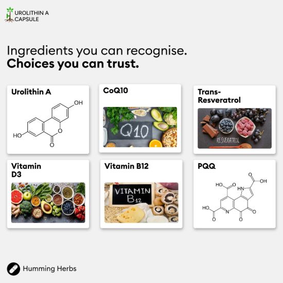 Picture of Humming Herbs Urolithin A Capsules – 6-in-1 Formula, 120 Capsules