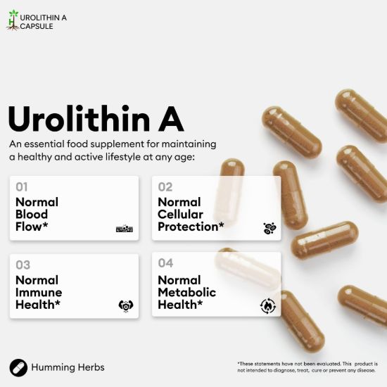 Picture of Humming Herbs Urolithin A Capsules – 6-in-1 Formula, 120 Capsules