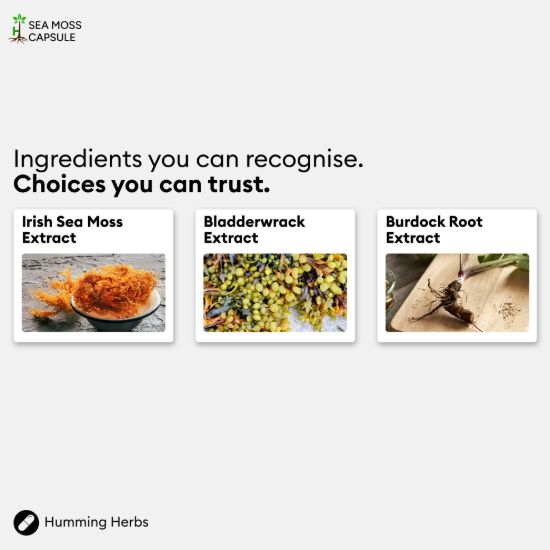 Picture of Humming Herbs Sea Moss Complex Capsules | 120 Capsules