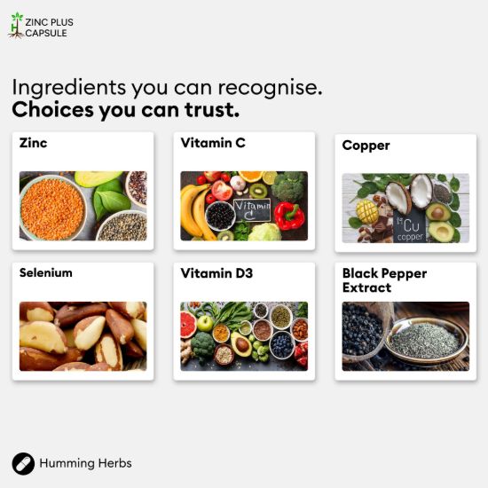 Picture of Humming Herbs Zinc Plus Capsules | 200 Capsules | 6-in-1 Formula