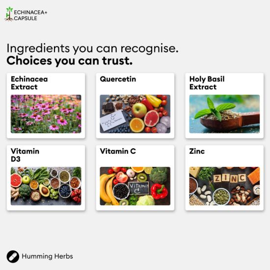 Picture of Humming Herbs Echinacea+ Capsules | 6-in-1 Formula | 120 Capsules