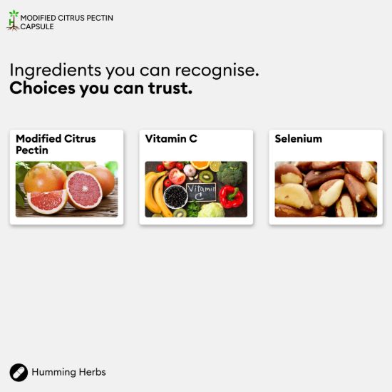 Picture of Modified Citrus Pectin Capsules | Humming Herbs | 120 Caps