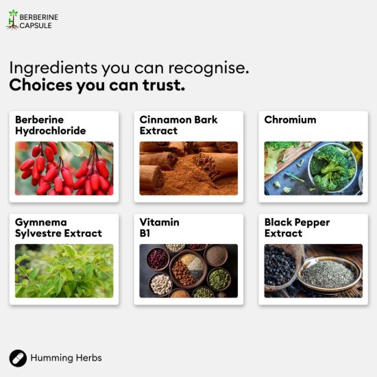 Picture of Humming Herbs Berberine 6-in-1 Formula – 180 Capsules