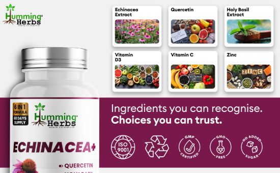 Picture of Humming Herbs Echinacea+ Capsules | 6-in-1 Formula | 120 Capsules