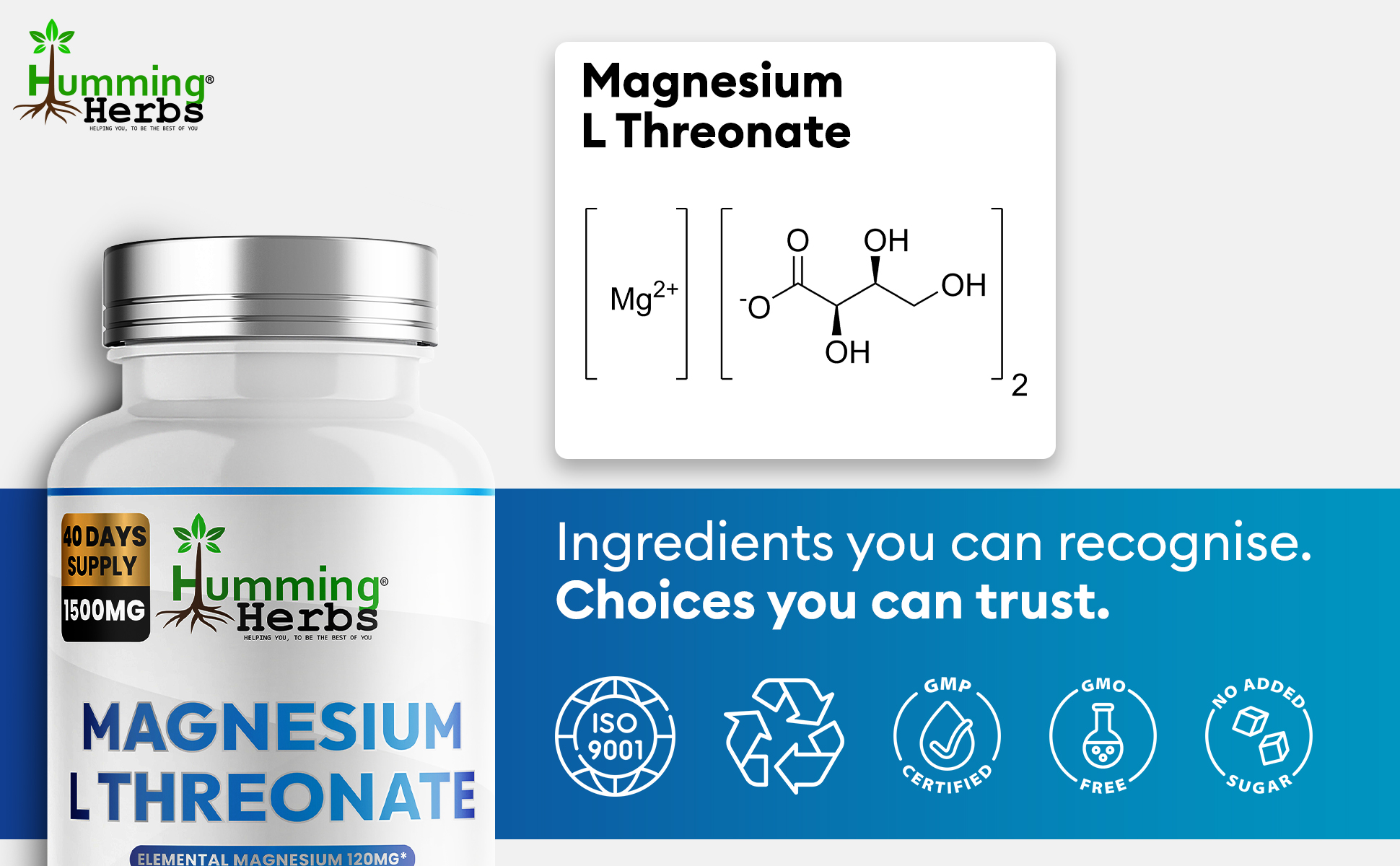 Humming Herbs Magnesium L-Threonate 1500mg capsules